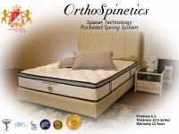 orthospinetics_a